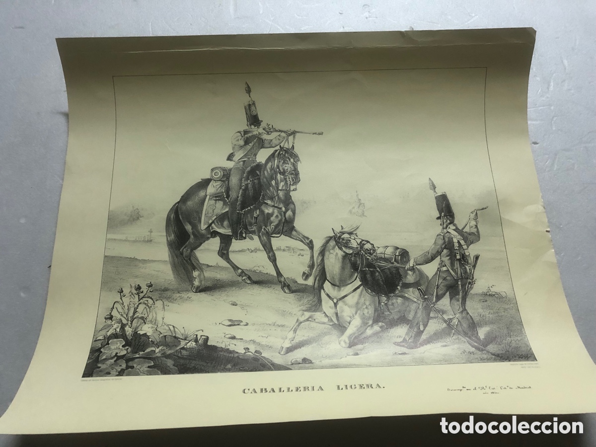 Militaria: LAMINA MILITAR CABALLER&Iacute;A LIGERA