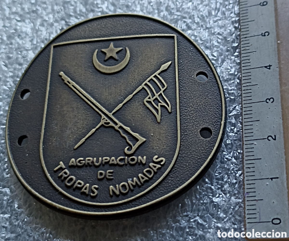 Military Antiques: PLACA DE BRAZO, AGRUPACI&Oacute;N DE TROPAS N&Oacute;MADAS