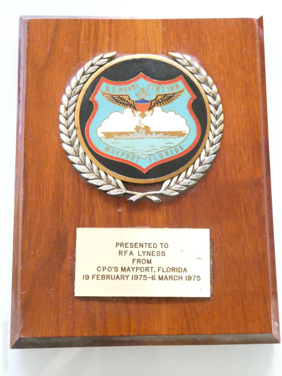 Militaria: METOPA MILITAR. EJ&Eacute;RCITO ESTADOS UNIDOS. US NAVY NAVAL STATION MAYPORT FLORIDA. 21CM. 330GR
