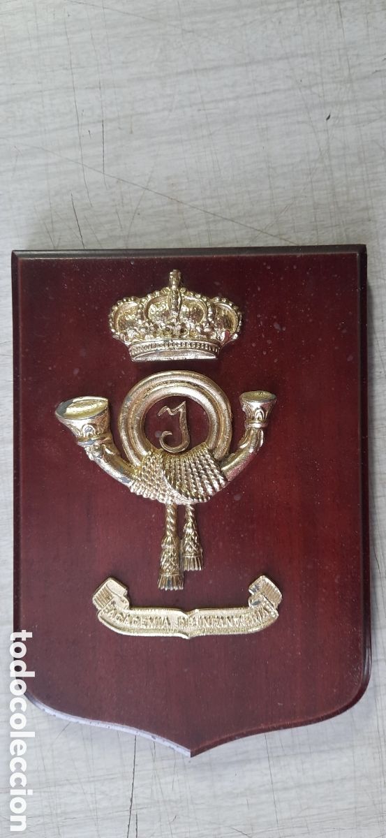 Militaria: Metopa academia de infanteria