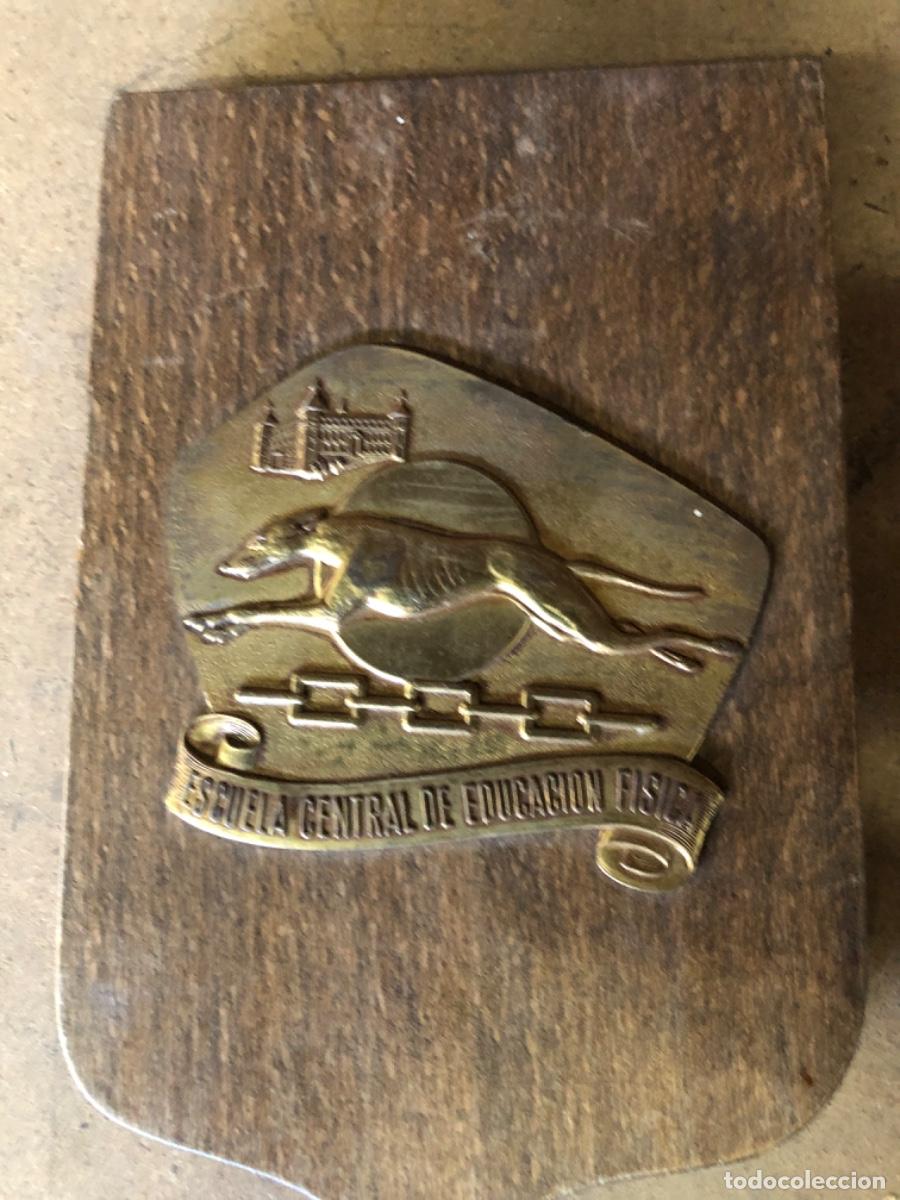 Militaria: METOPA ESCUELA CENTRAL DE EDUCACI&Oacute;N F&Iacute;SICA. De bronce o lat&oacute;n