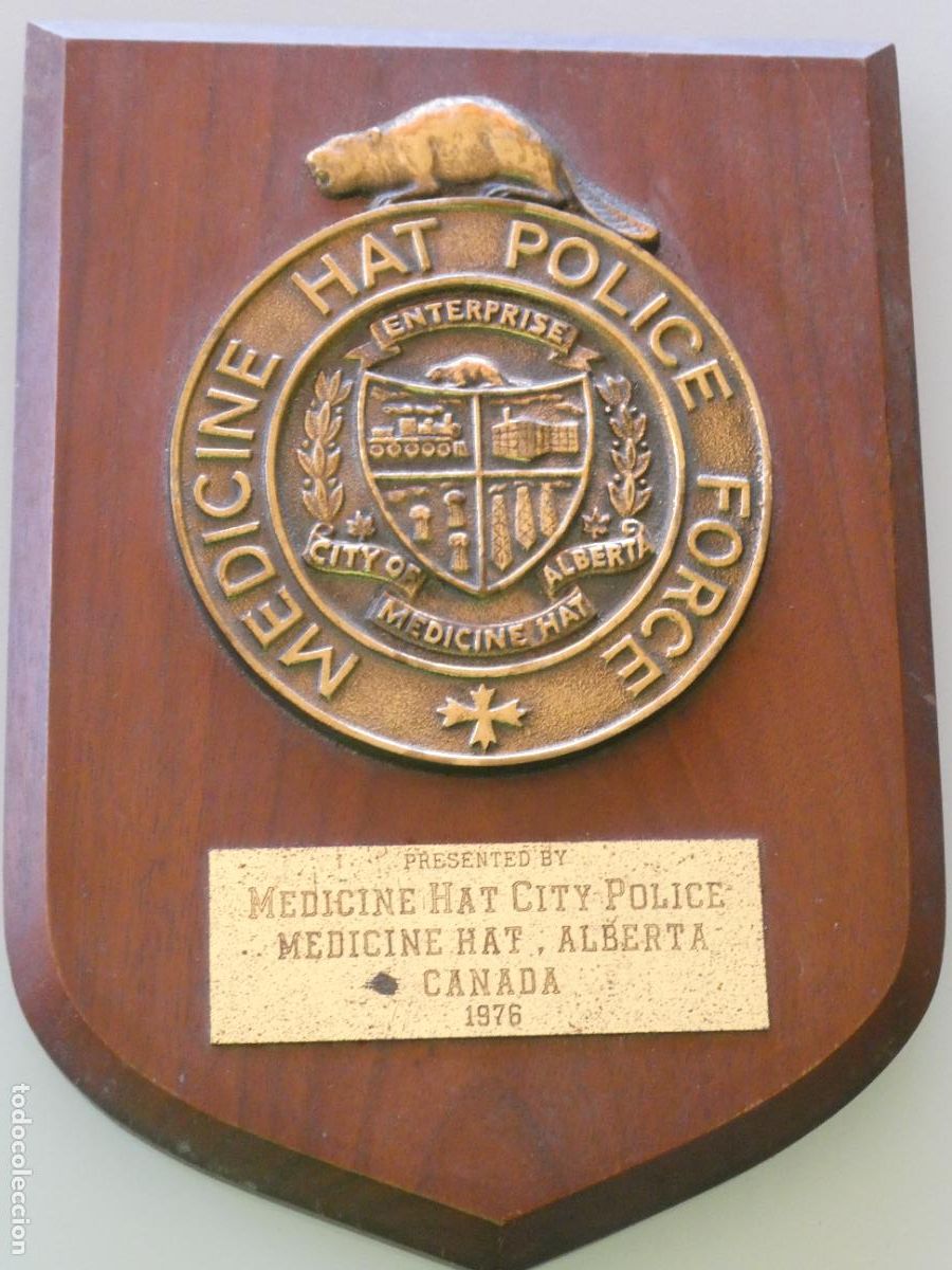 Militaria: METOPA POLICIAL. SERVICIO M&Eacute;DICO POLIC&Iacute;A DE ALBERTA CANAD&Aacute; 1976. BRONCE. 25CM 1KG