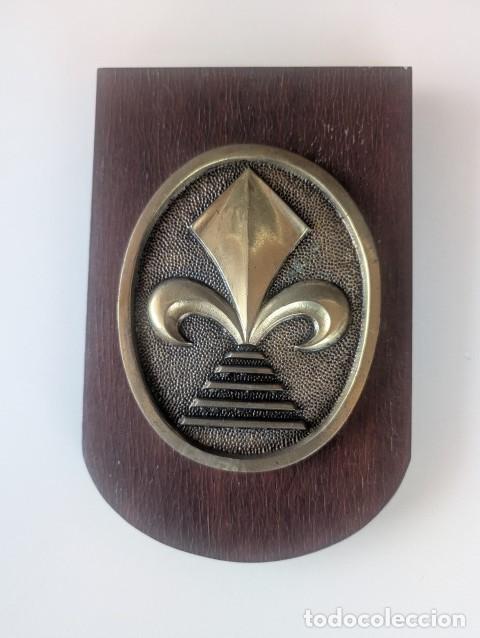 Militaria: RRR METOPA BRONCE SOBRE MADERA DEL EJERCITO ESPA&Ntilde;OL (MADOC) DIFICIL; 20,5X13,5 CM. - BUEN ESTADO