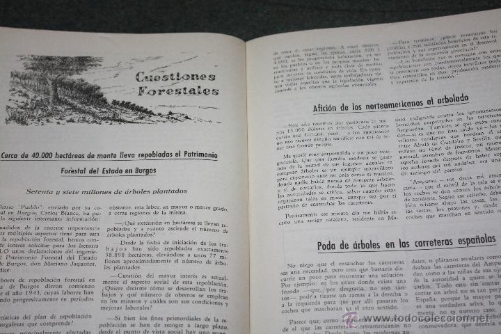 Militaria: REVISTA SINDICAL DE MADERA Y EL CORCHO - Foto 4
