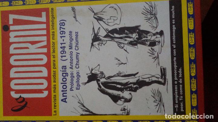 Militaria: la codorniz - Foto 1