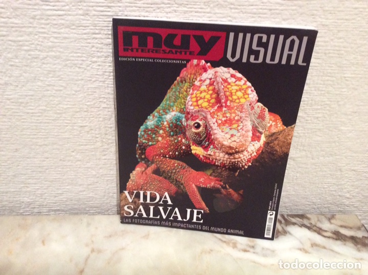 Military Antiques: MUY INTERESANTE VISUAL EDICION ESPECIAL COLECCIONISTAS, VIDA SALVAJE
