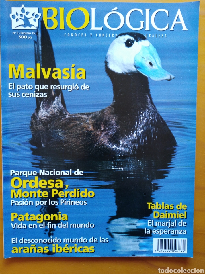 Militaria: Revista BIOL&Oacute;GICA 1997