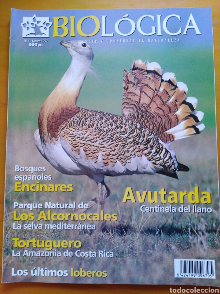 Militaria: Revista BIOL&Oacute;GICA 3-1997