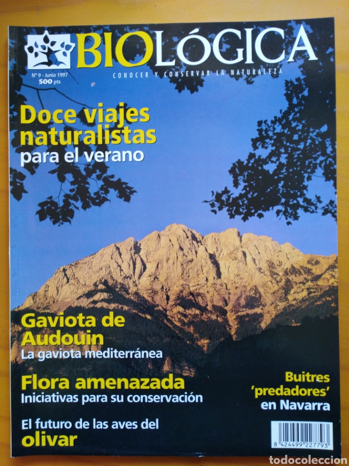 Military Antiques: Revista. BIOL&Oacute;GICA 6 - 1997