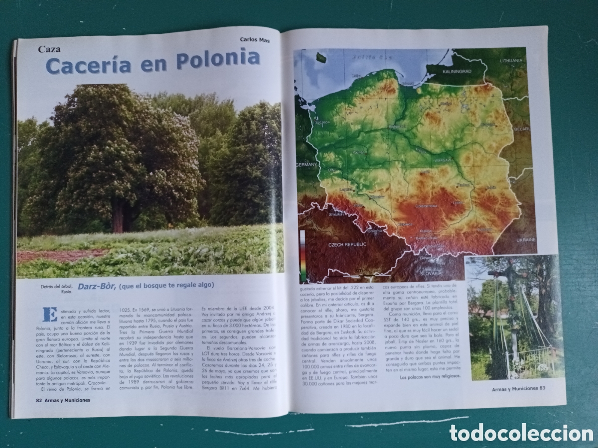Militaria: Armas y Municiones N&deg;329 Sep 2013 - Foto 9