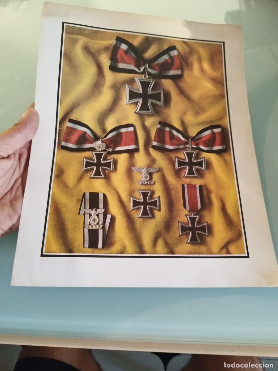 Militaria: Antigua lamina de la revista americana Signal. Cruz de Hierro y la Cruz de Caballero II G. Mundial.