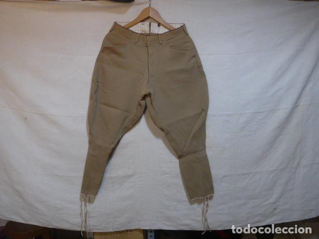 Pantalon équitation avec grip femme B Vertigo Justine