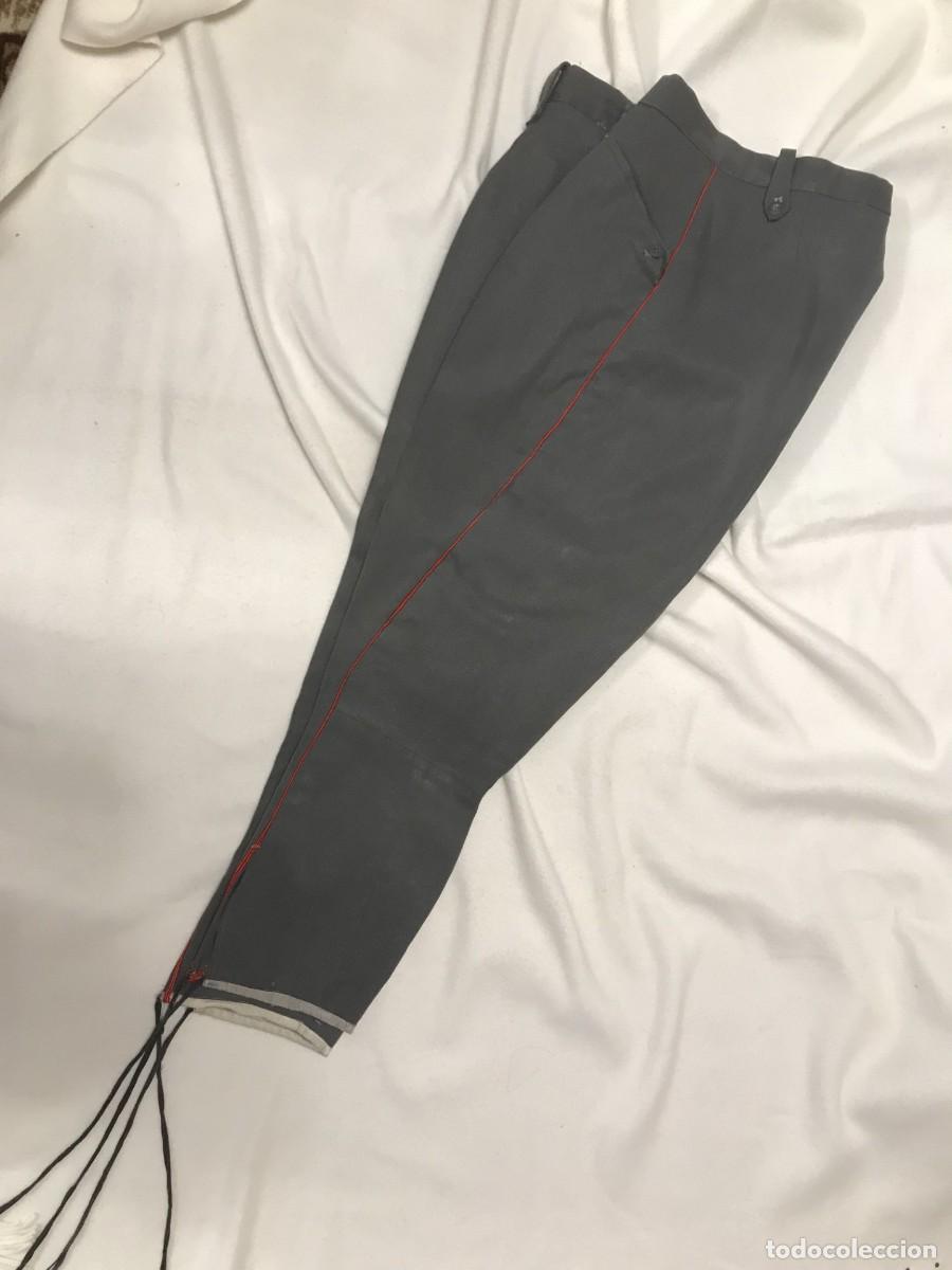 Militaria: PANTALON DE MONTAR DE LA POLICIA ARMADA