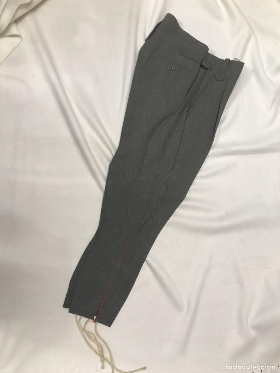 Militaria: PANTALON DE MONTAR DE LA POLICIA ARMADA
