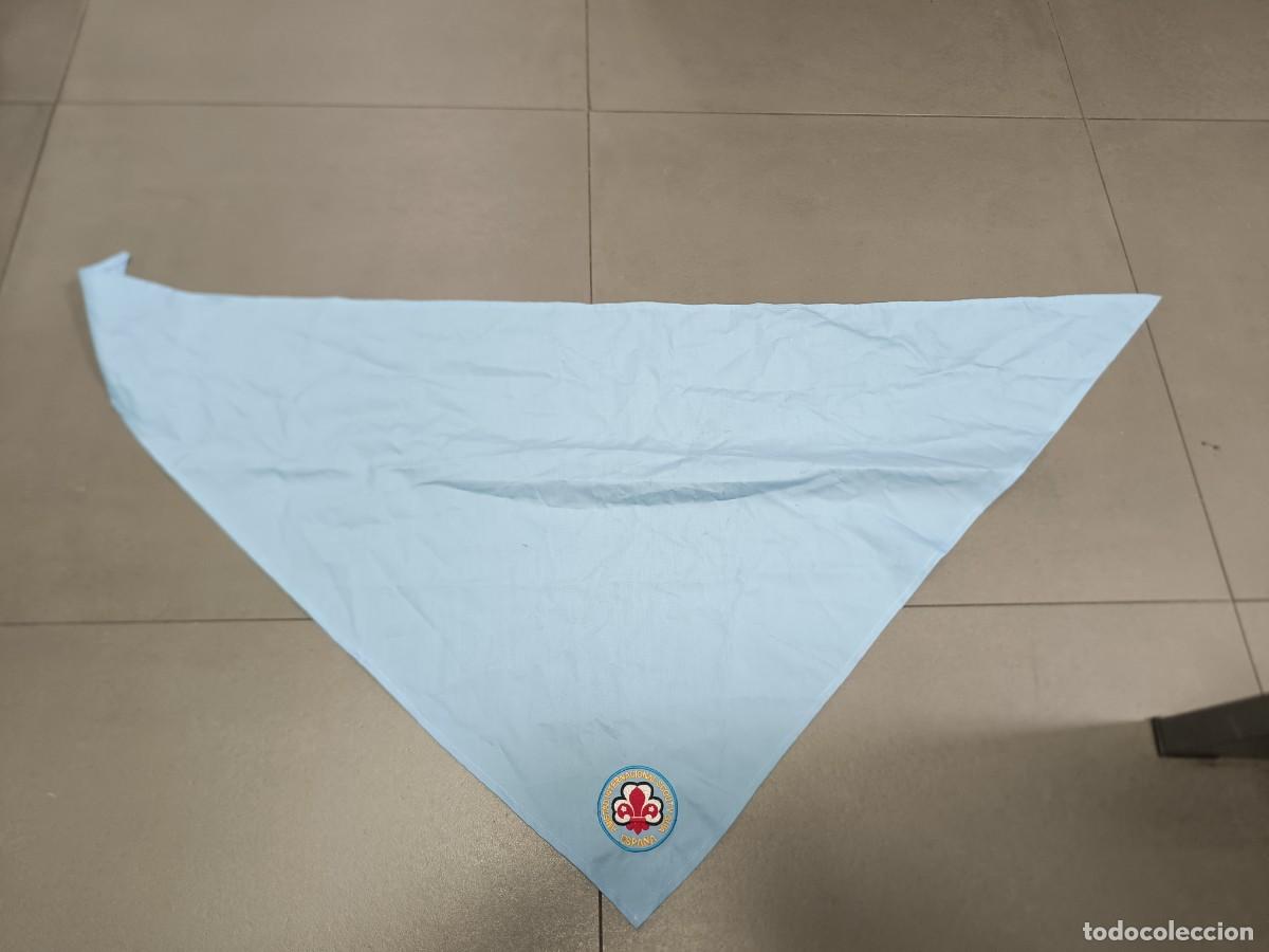 Militaria: PA&Ntilde;UELO DE CUELLO AMISTAD INTERNACIONAL SCOUT Y GUIA ESPA&Ntilde;A
