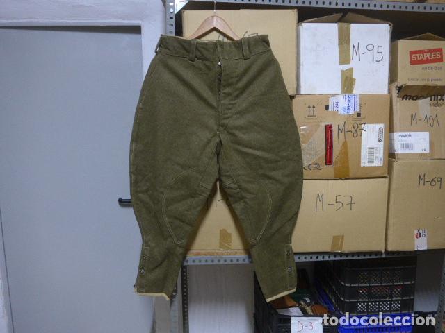 Militaria: Antiguo pantalon breches grueso original de 1949 a identificar, creo holandes, holanda.