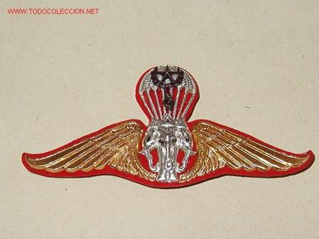 Militaria: Alas de paracaidista - Foto 1