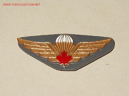 Militaria: Alas de paracaidista - Foto 1