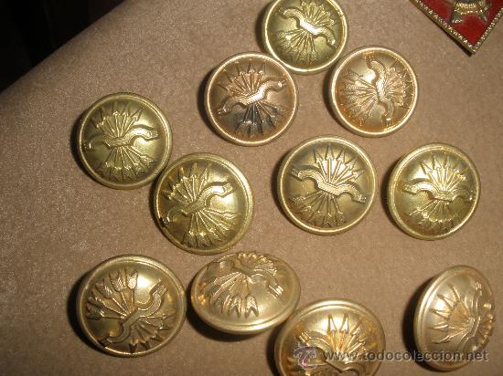Militaria: 10 BOTONES DE FALANGE - Foto 1