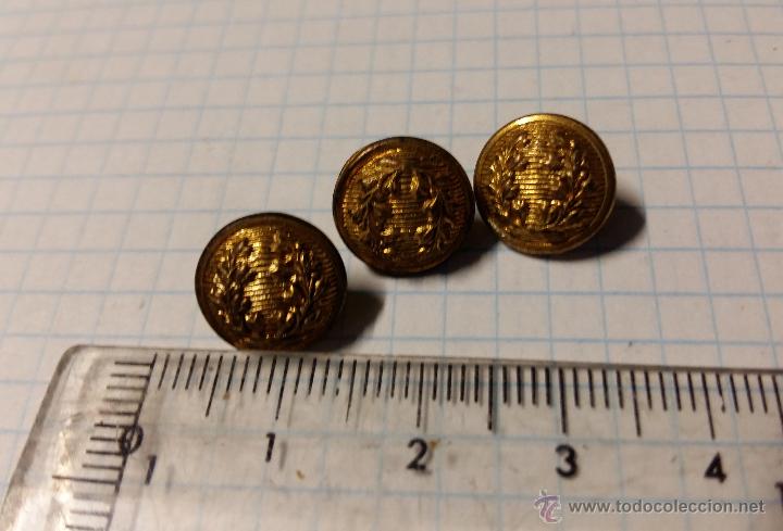 Militaria: 3 botones de Veterinaria - Foto 1