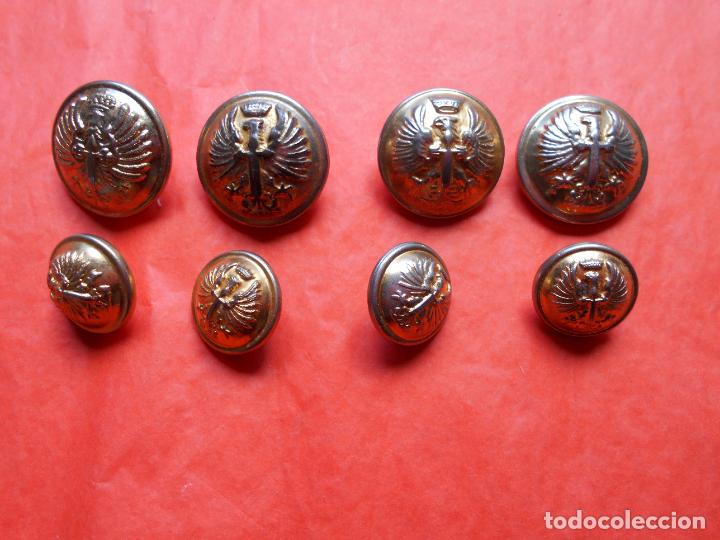 Militaria: LOTE BOTONES EJERCITO ESPA&Ntilde;OL - Foto 1