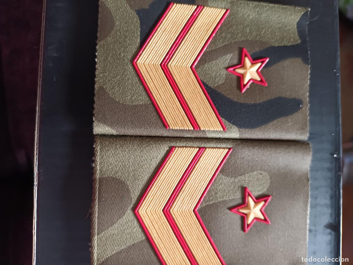Militaria: HOMBRERAS EJERCITO DE TIERRA - Foto 1