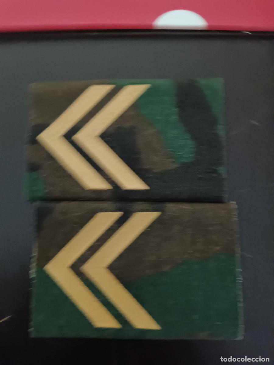 Militaria: HOMBRERAS EJERCITO DE TIERRA - Foto 1