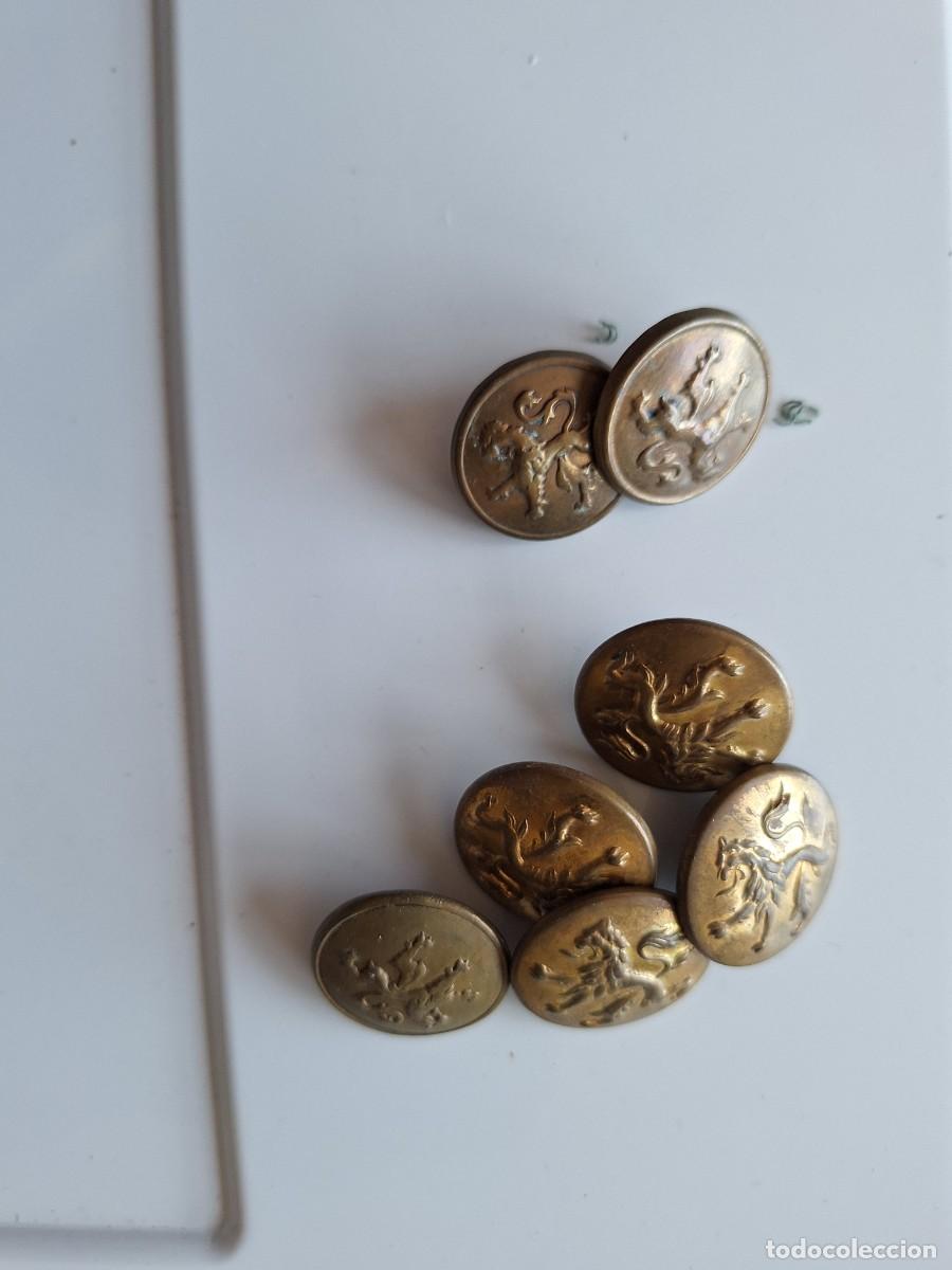Militaria: 7 botones de le&oacute;n rampante - Foto 1