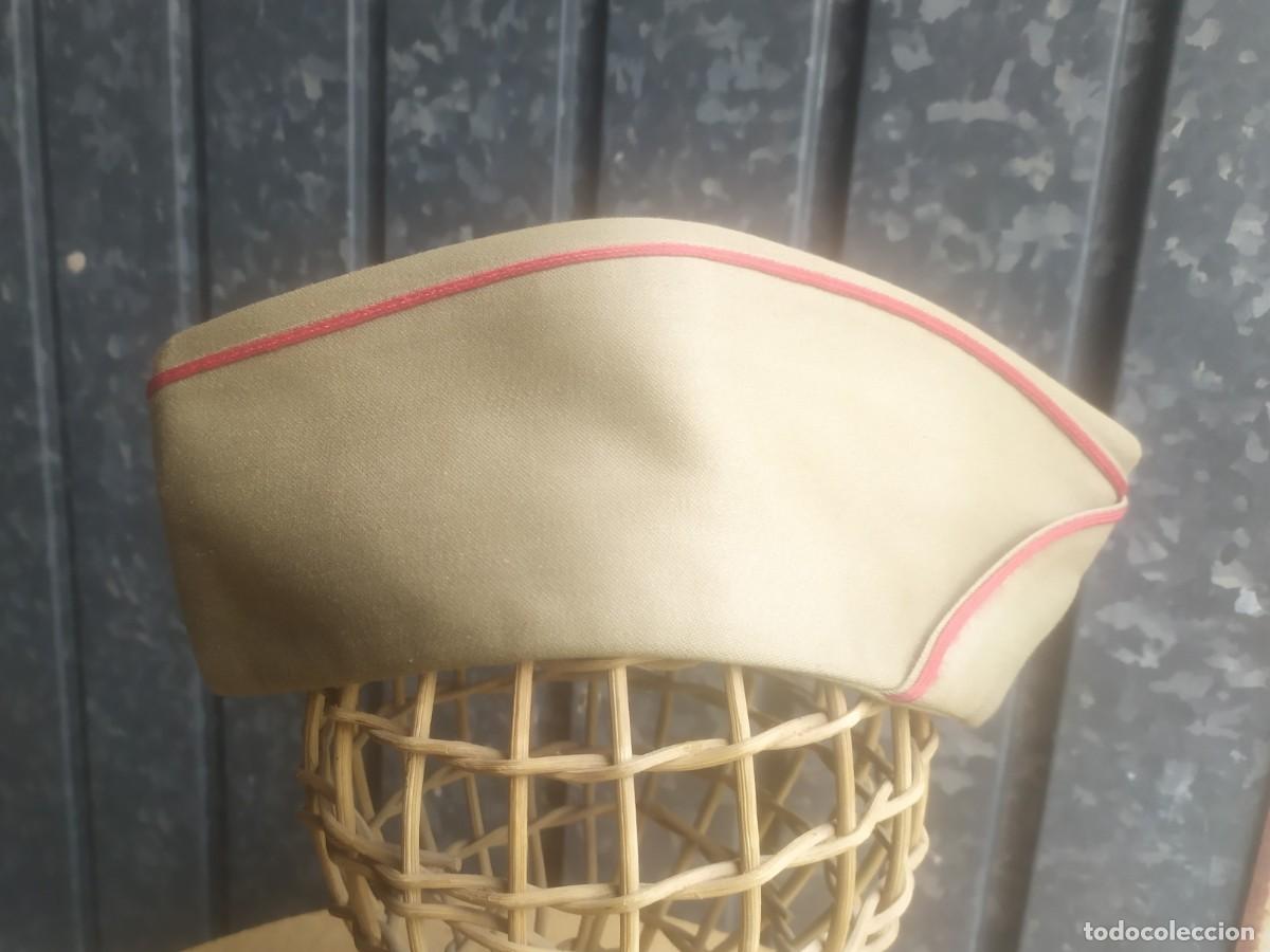 Militaria: Pl&aacute;tano del ej&eacute;rcito de tierra - Foto 1