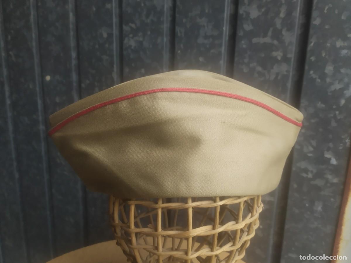 Militaria: Pl&aacute;tano del ej&eacute;rcito de tierra - Foto 2