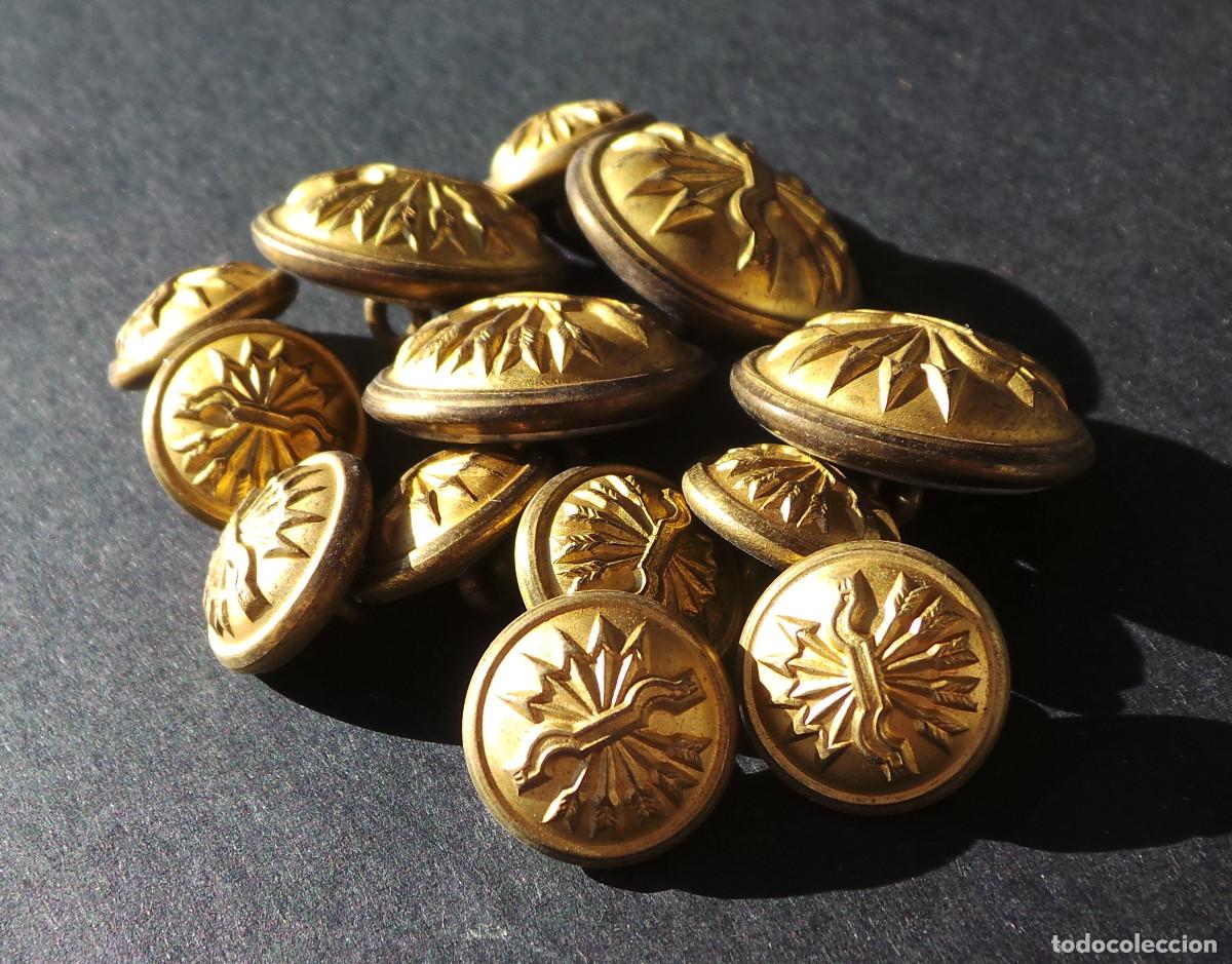 Militaria: LOTE DE BOTONES FALANGE. - Foto 5