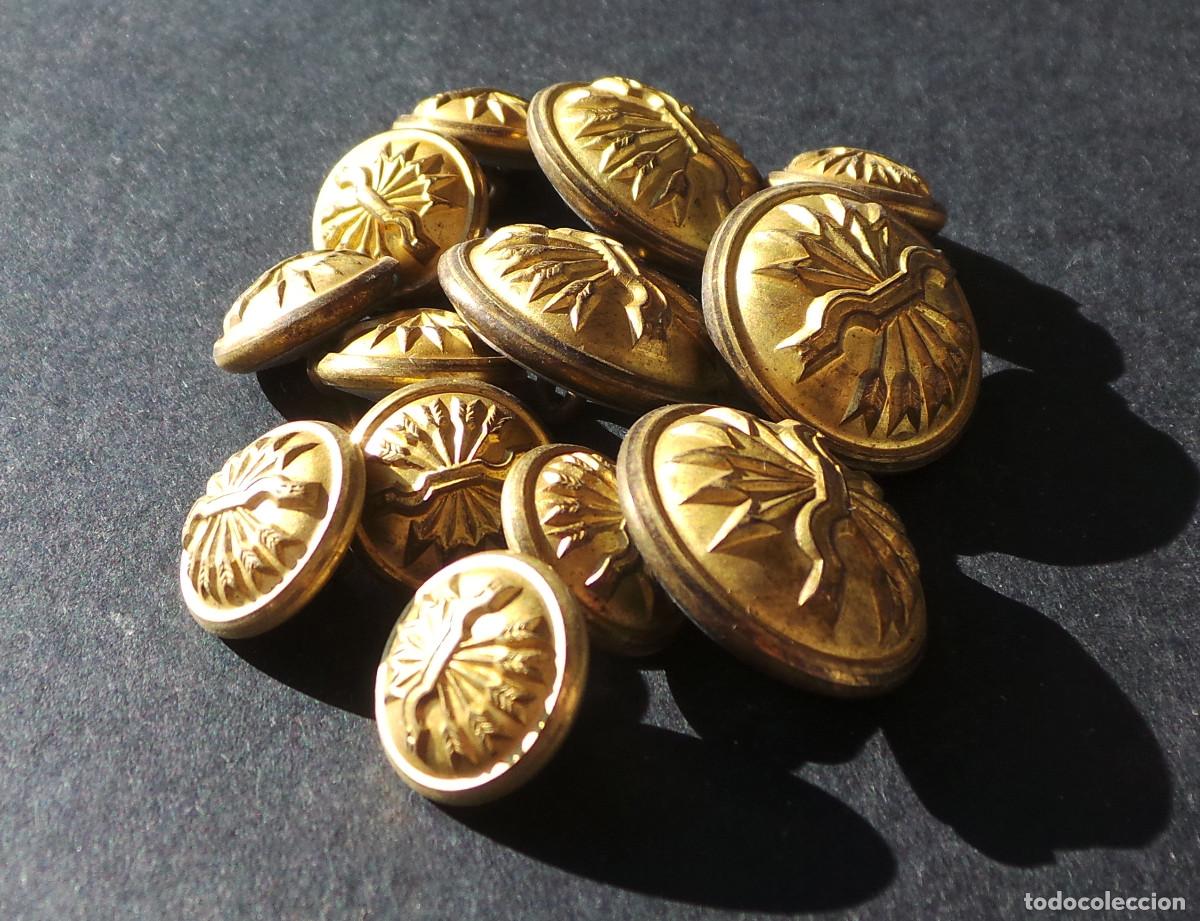 Militaria: LOTE DE BOTONES FALANGE. - Foto 6