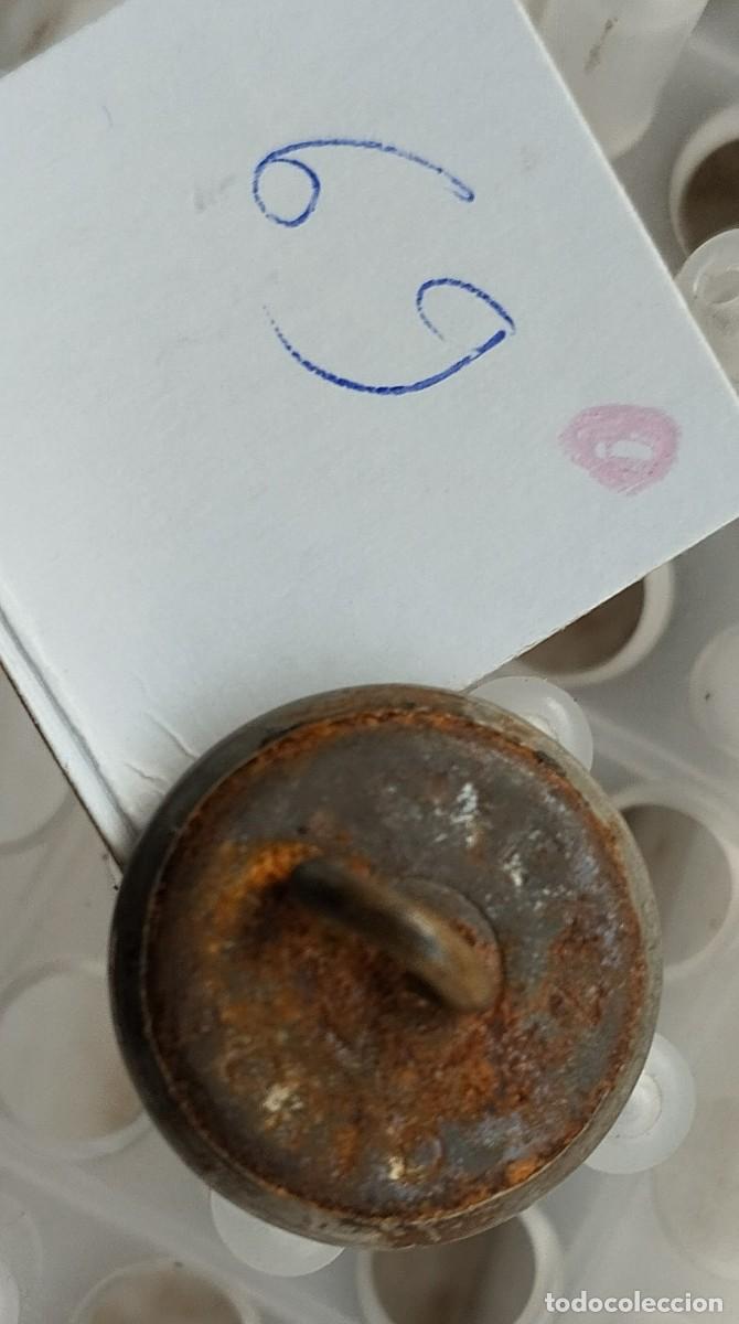Militaria: boton celador de montes - Foto 4