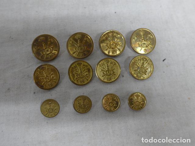 Militaria: Lote 12 antiguos botones alfonsinos de Academia General Militar, 3 tama&ntilde;os distintos. Alfonso XIII