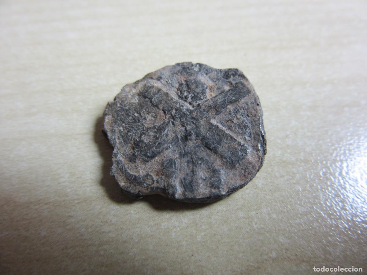 Militaria: Bot&oacute;n del Regimiento 10 de Artiller&iacute;a Franc&eacute;s Guerra de la Independencia Di&aacute;metro2,1 cm