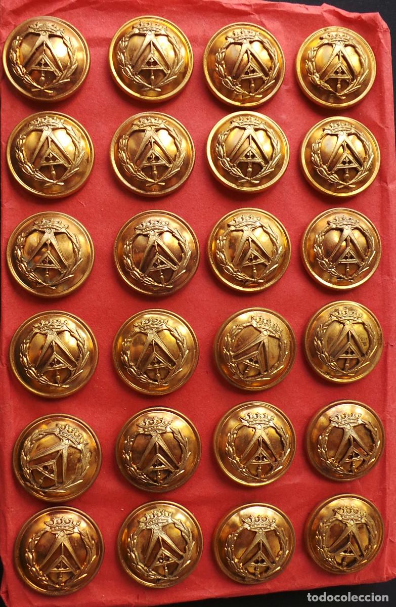 Militaria: LOTE DE BOTONES, APAREJADORES &Eacute;POCA DE FRANCO. 2,1 CM DI&Aacute;METRO. APROX.