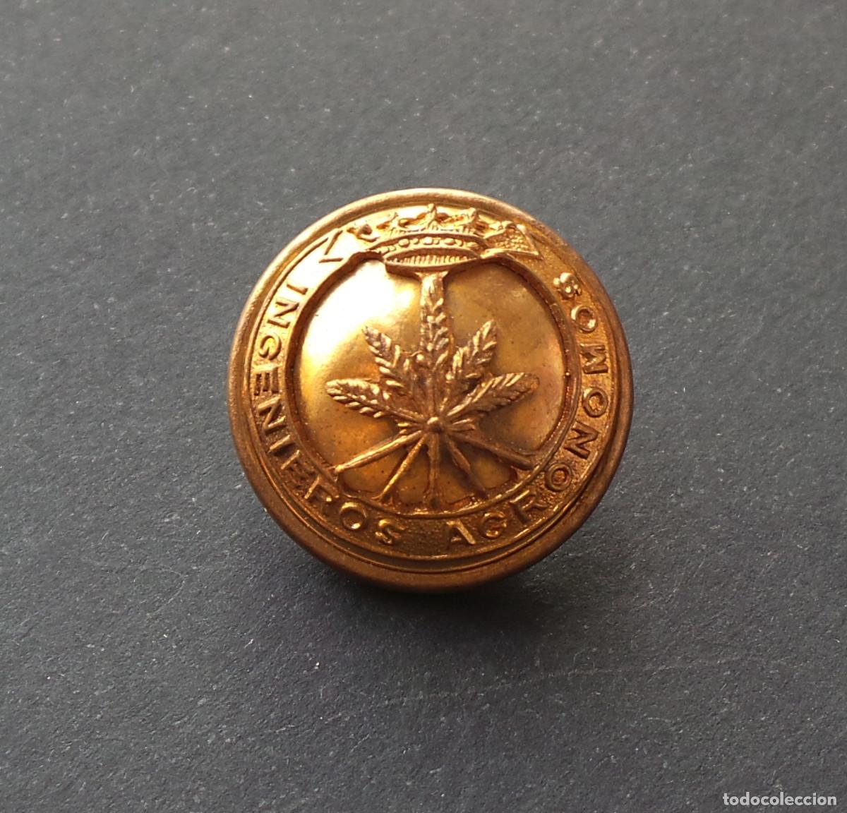 Militaria: BOT&Oacute;N. INGENIEROS AGRONOMOS - ALFONSO XIII - 2,2 CM DE DI&Aacute;METRO.