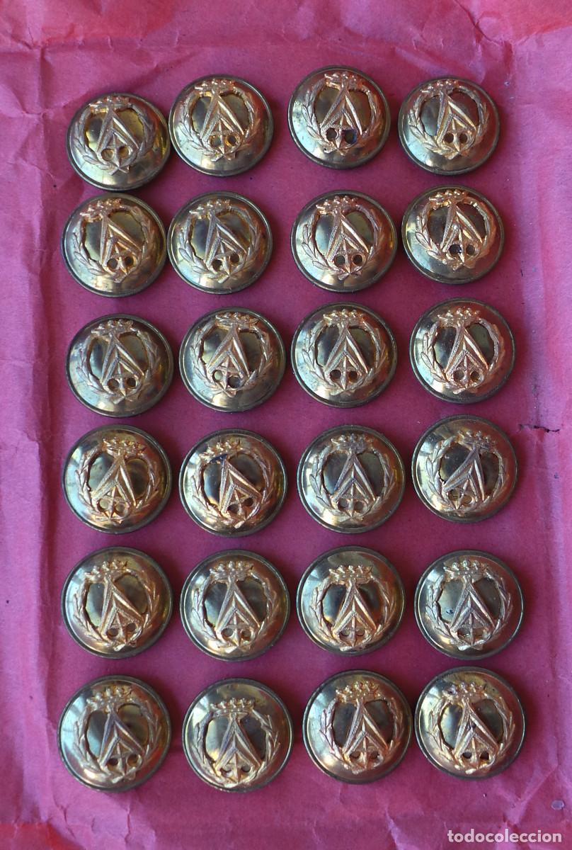 Militaria: PLIEGO DE BOTONES, APAREJADORES &Eacute;POCA DE FRANCO. 1,5 CM DI&Aacute;METRO. APROX.