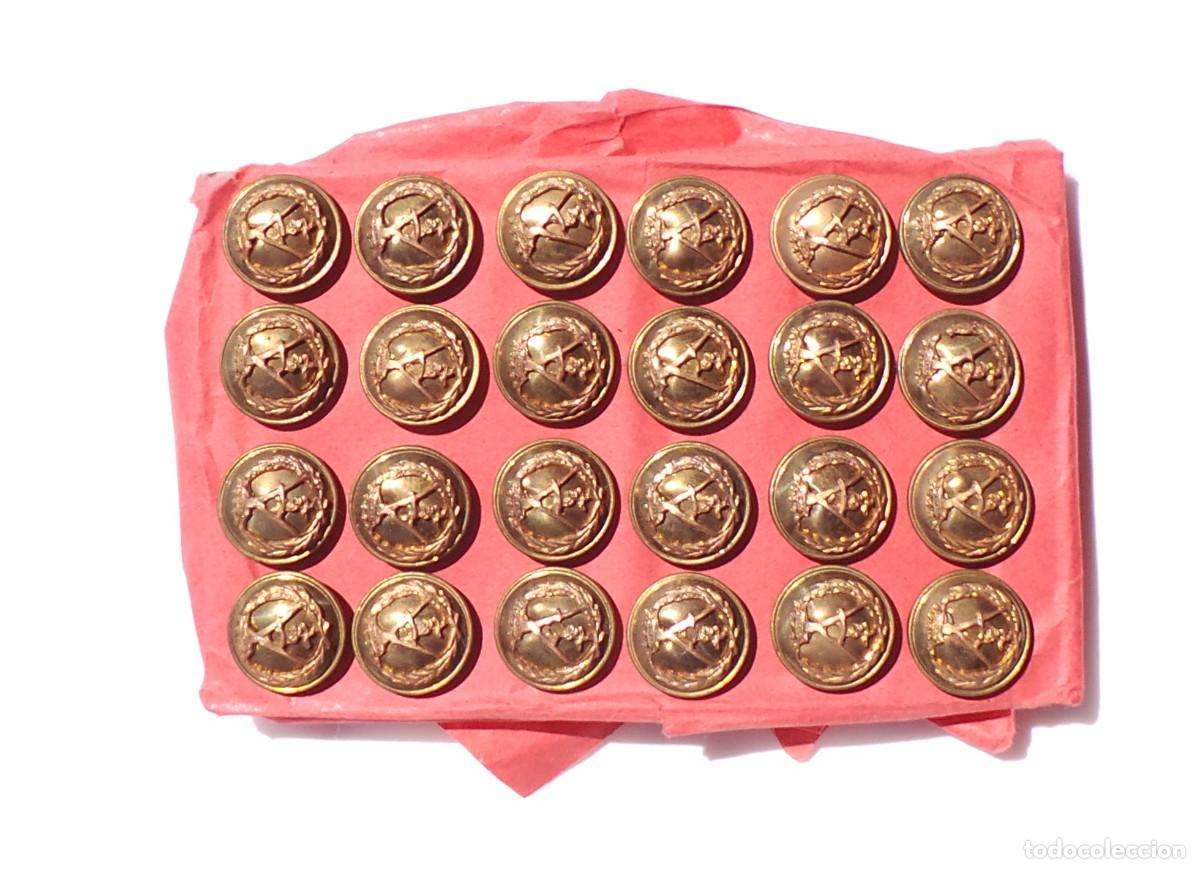 Militaria: LOTE DE BOTONES, ARQUITECTOS &Eacute;POCA DE FRANCO. 1,5 CM DI&Aacute;METRO. APROX.