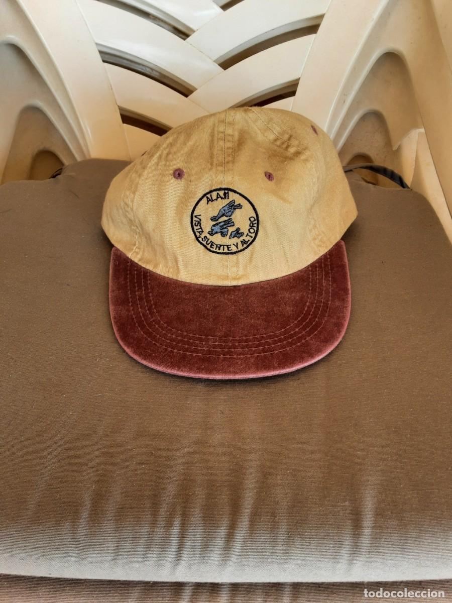 Militaria: Gorra Ala !1 (Mor&oacute;n) - Ej&eacute;rcito del Aire
