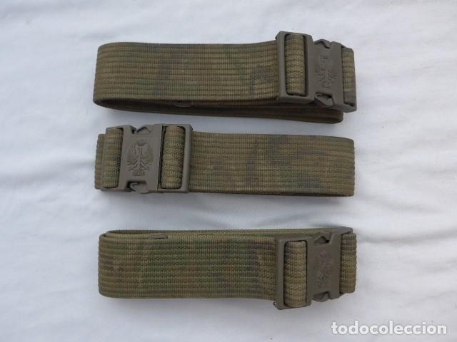 Militaria: LOTE DE 3 CINTURONES CON HEBILLA DEL EJERCITO ESPA&Ntilde;OL DE CAMUFLAJE
