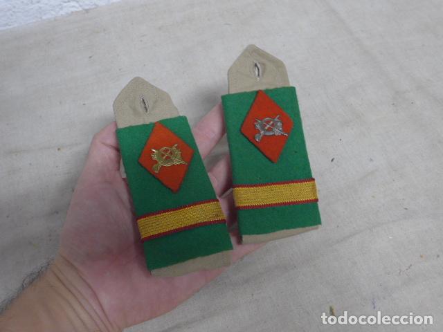 Militaria: Antigua pareja de hombreras de las COES, originales. COE