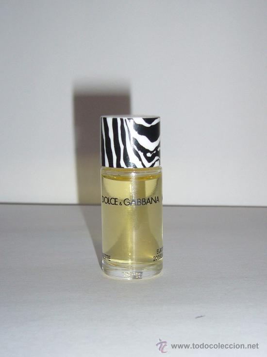 by dolce and gabbana cologne zebra