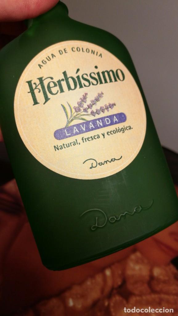 Miniaturas de perfumes antiguos: DANA, HERB&Iacute;SSIMO, aroma LAVANDA. - Foto 2