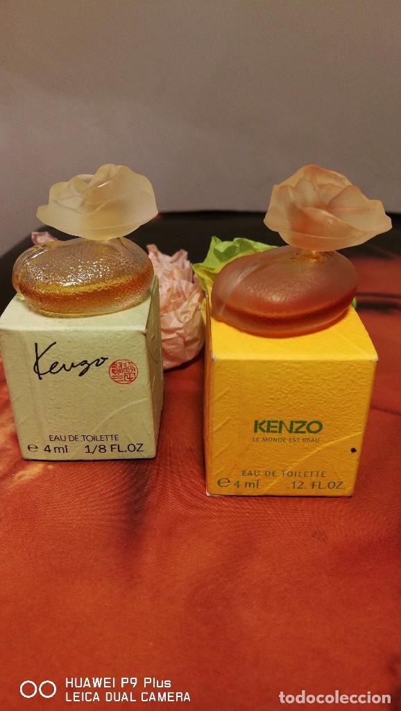 volatilidad Fotoeléctrico Palpitar kenzo, 2 miniaturas vintage, de 4 ml. - Comprar Miniaturas de perfumes  antiguos y envases en todocoleccion - 81245096
