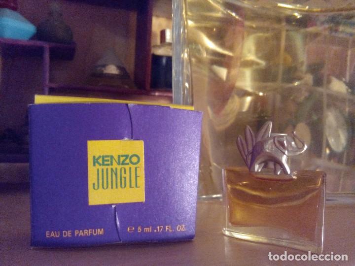 Reflexión Hacer deporte Pero kenzo jungle - Comprar Miniaturas de perfumes antiguos y envases en  todocoleccion - 94457994