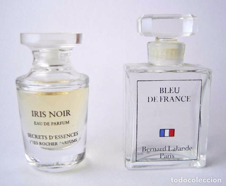 iris noir eau de parfum
