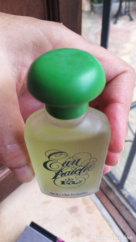 Miniaturas de perfumes antiguos: VINTAGE FA, EAU FRA&Icirc;CHE - Foto 2