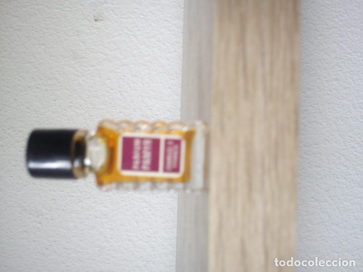 Miniaturas de perfumes antiguos: MAGNIFICA Y ANTIGUA COLECION DE PERFUMES MINIATURAS MAD FRANCE VARIOS NOMES - Foto 7 - 104479715