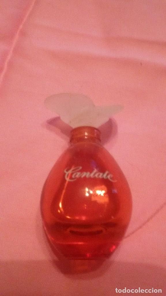 Miniaturas de perfumes antiguos: miniatura perfume cantate. - Foto 3